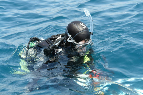 diving-564484_500