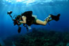 underwater-photographer-100