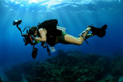underwater-photographer-500
